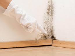 Summerside, OH Mold Removal & Remediation Company